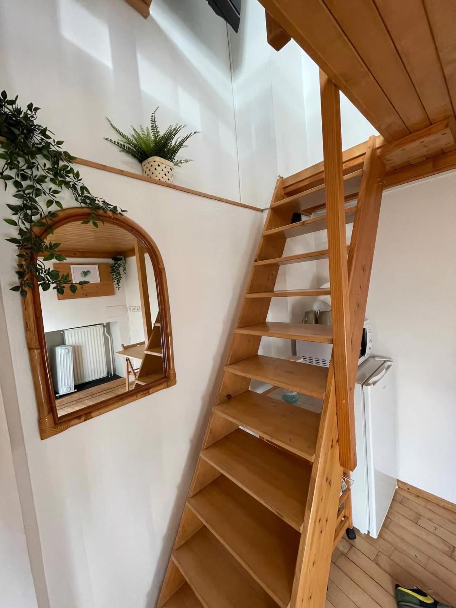 Small Micro-treehouse In The Centre Ljubljana